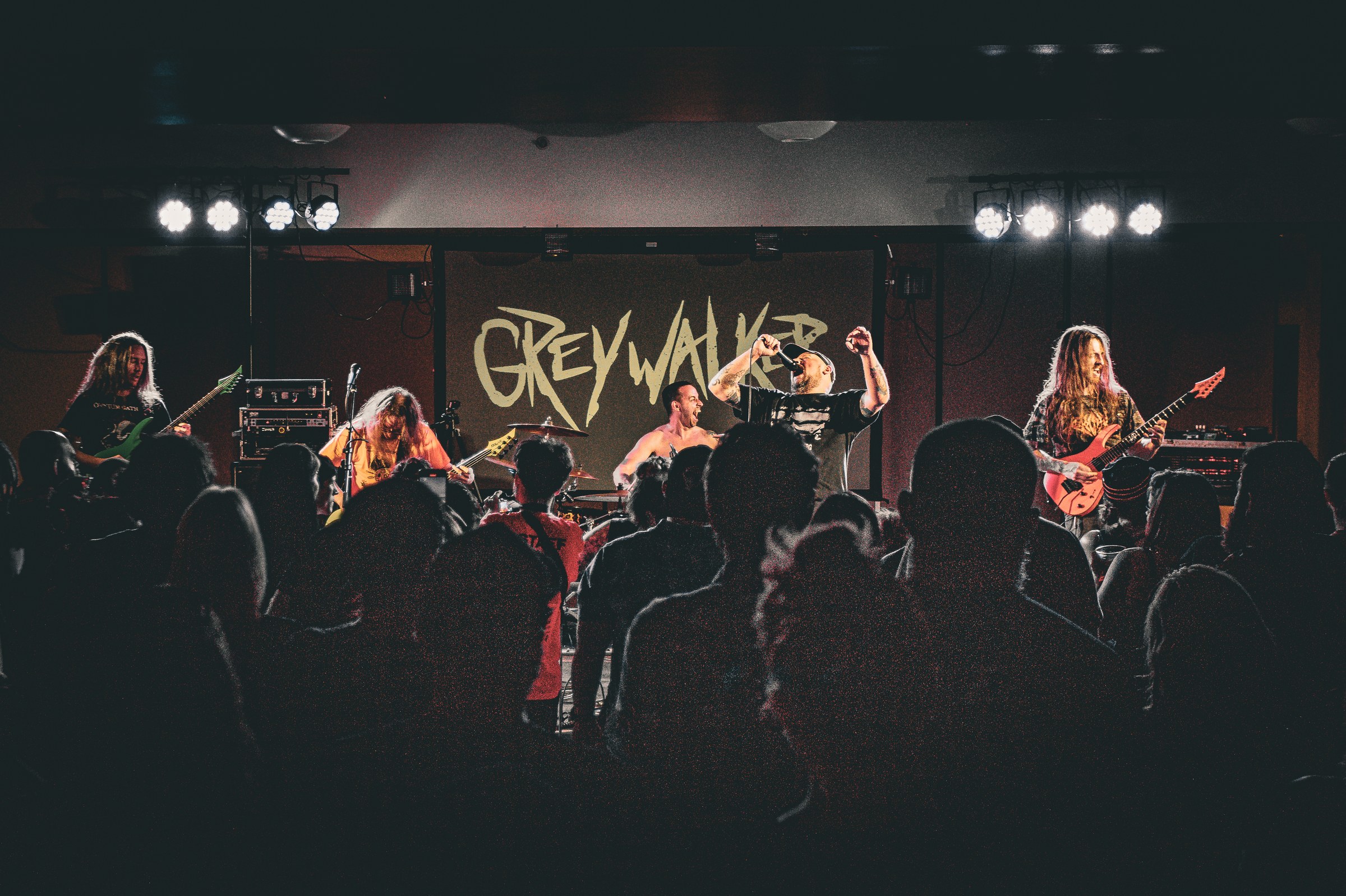 Greywalker live at Millvale Music Festival 2024 2024, photo 2 by Don Jilla