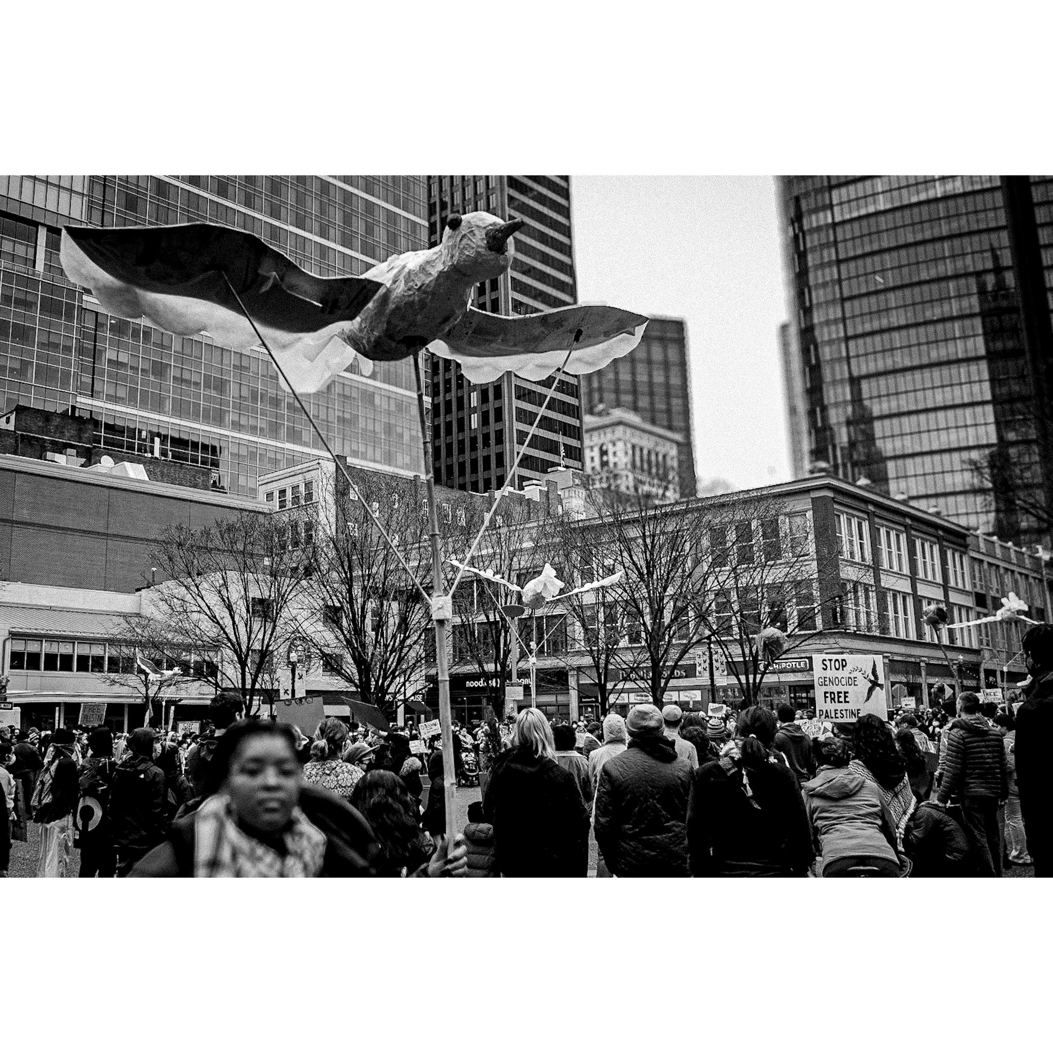 March 2, 2024 live at Pittsburgh March 2024 2024, photo 15 by Don Jilla