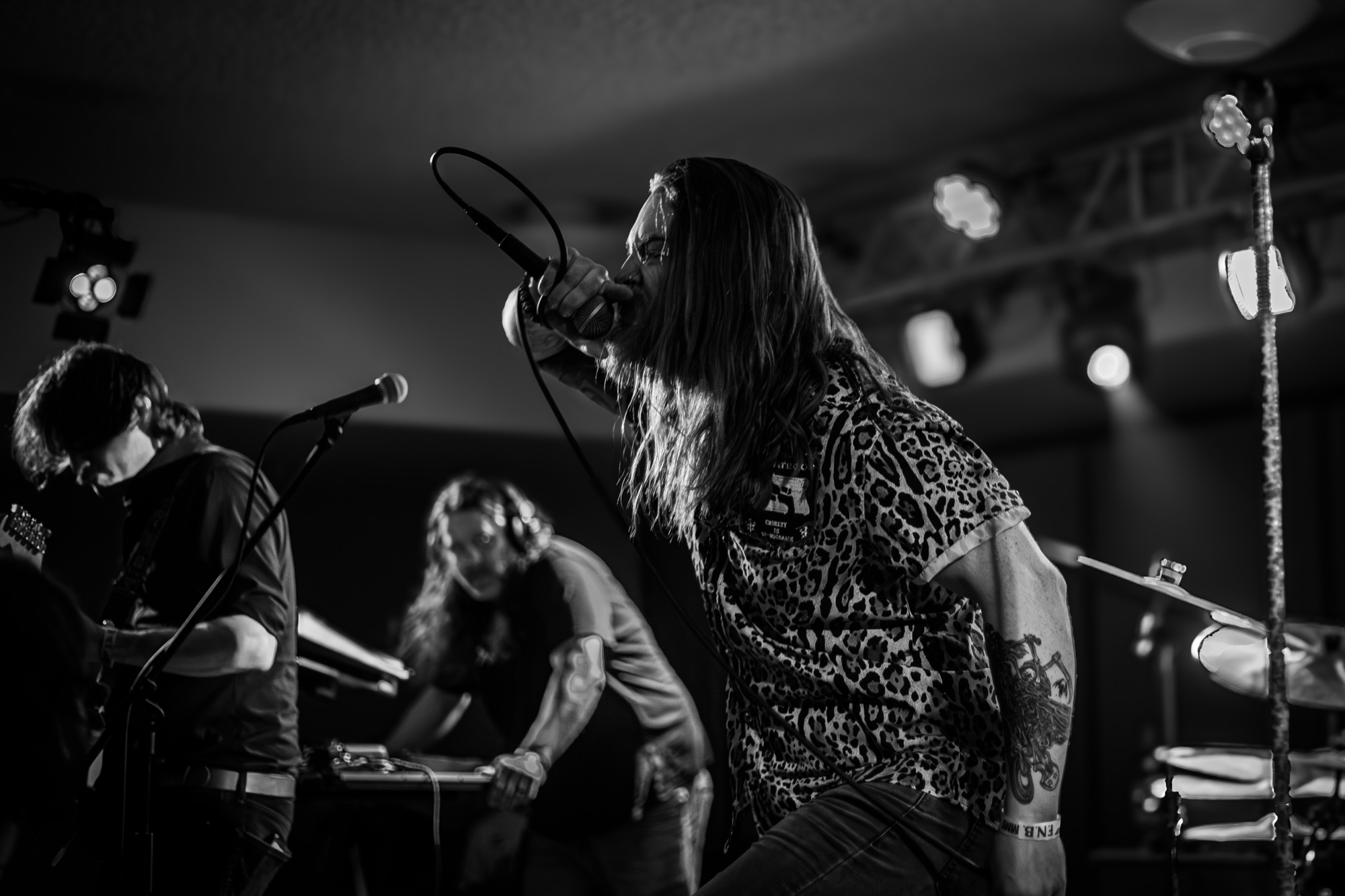 StarViper live at Millvale Music Festival 2026 2026, photo 10 by Don Jilla