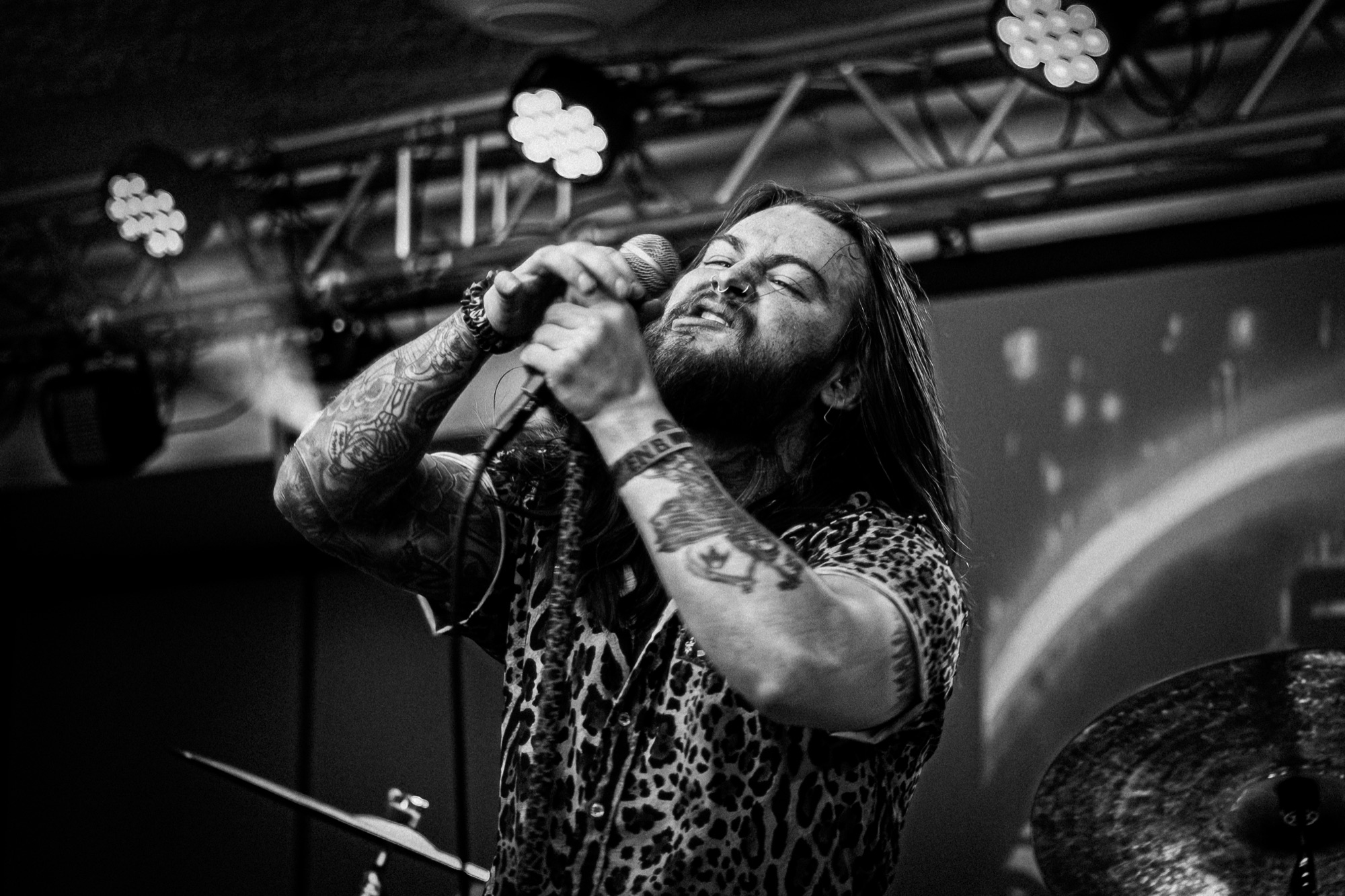 StarViper live at Millvale Music Festival 2026 2026, photo 14 by Don Jilla