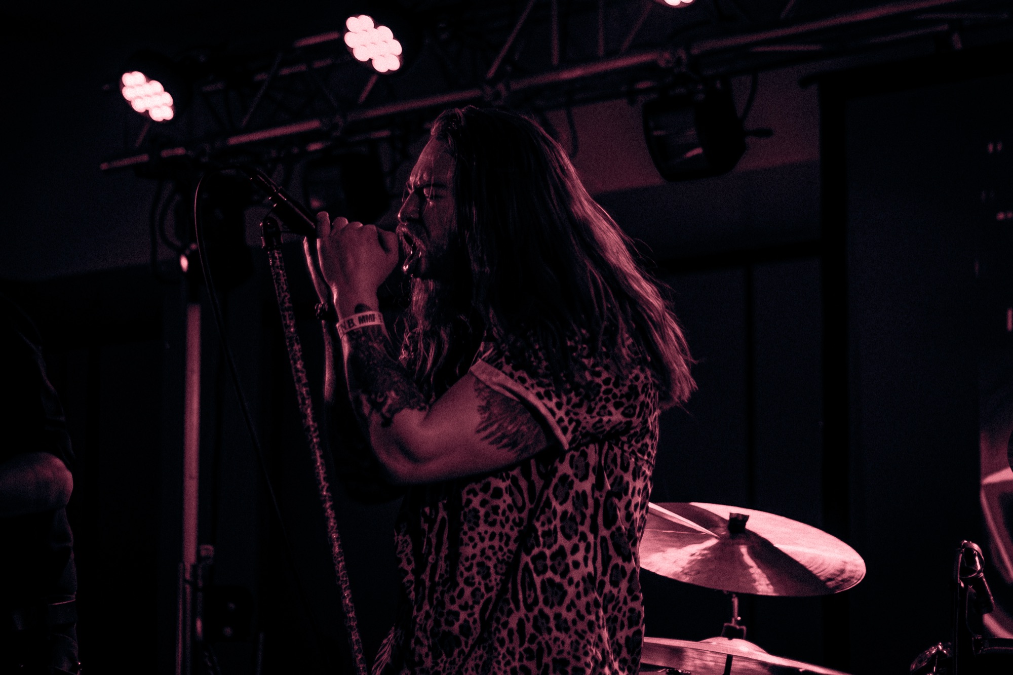 StarViper live at Millvale Music Festival 2026 2026, photo 15 by Don Jilla