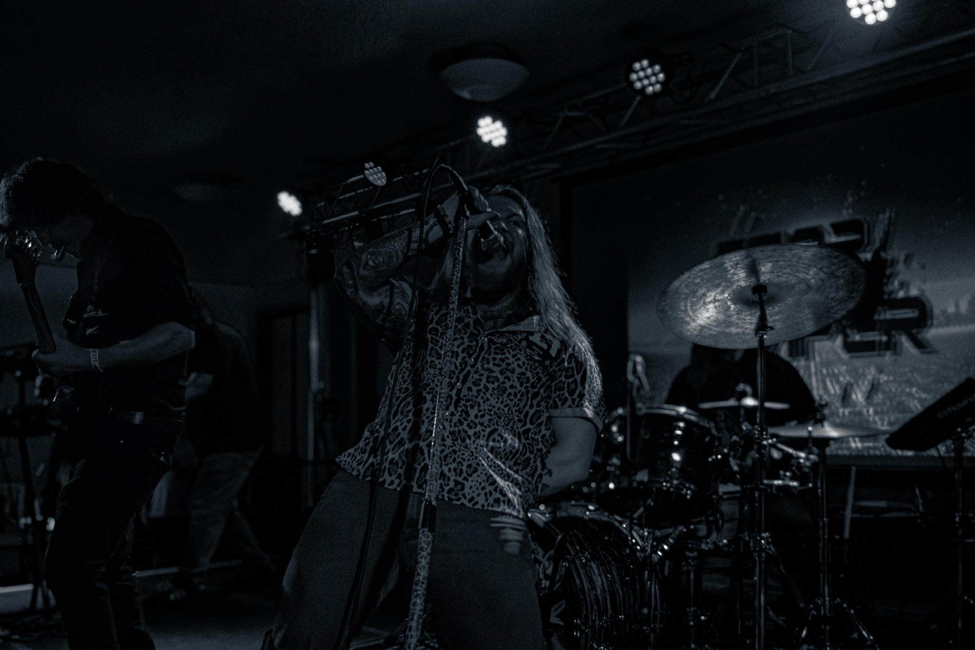 StarViper live at Millvale Music Festival 2026 2026, photo 2 by Don Jilla