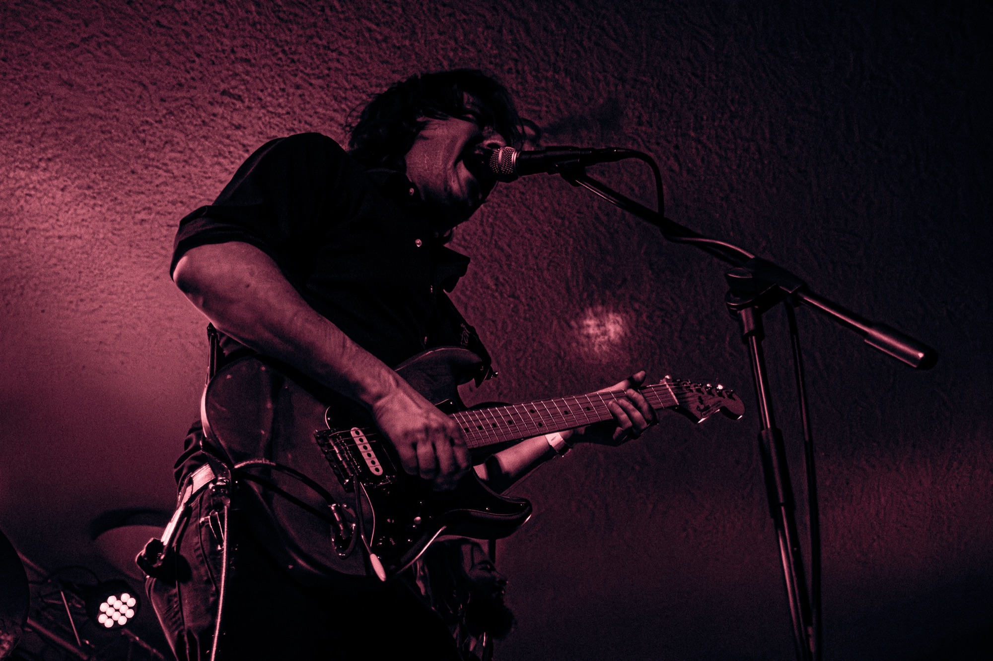 StarViper live at Millvale Music Festival 2026 2026, photo 20 by Don Jilla