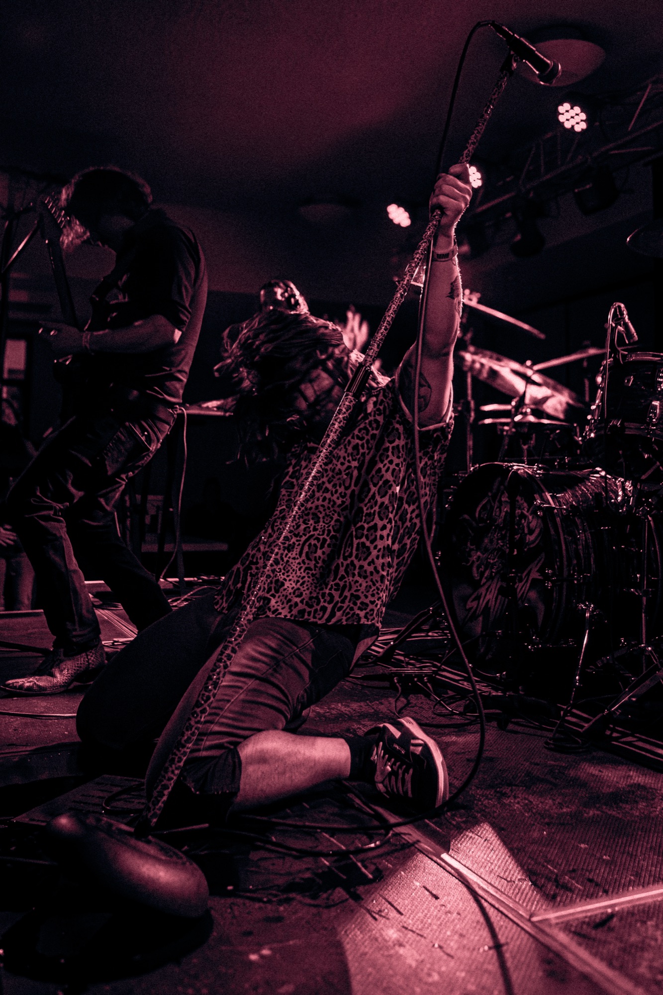 StarViper live at Millvale Music Festival 2026 2026, photo 4 by Don Jilla