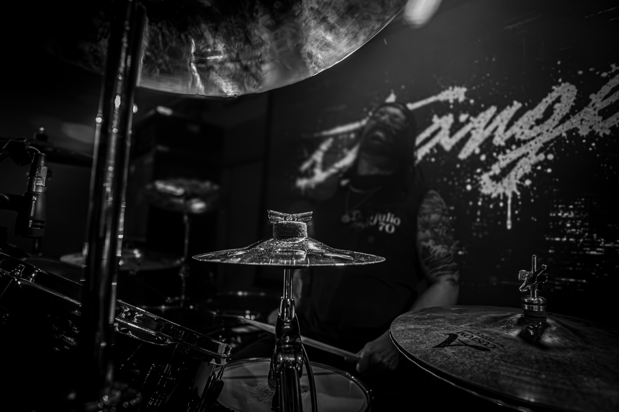 Strangers live at Millvale Music Festival 2026 2026, photo 7 by Don Jilla