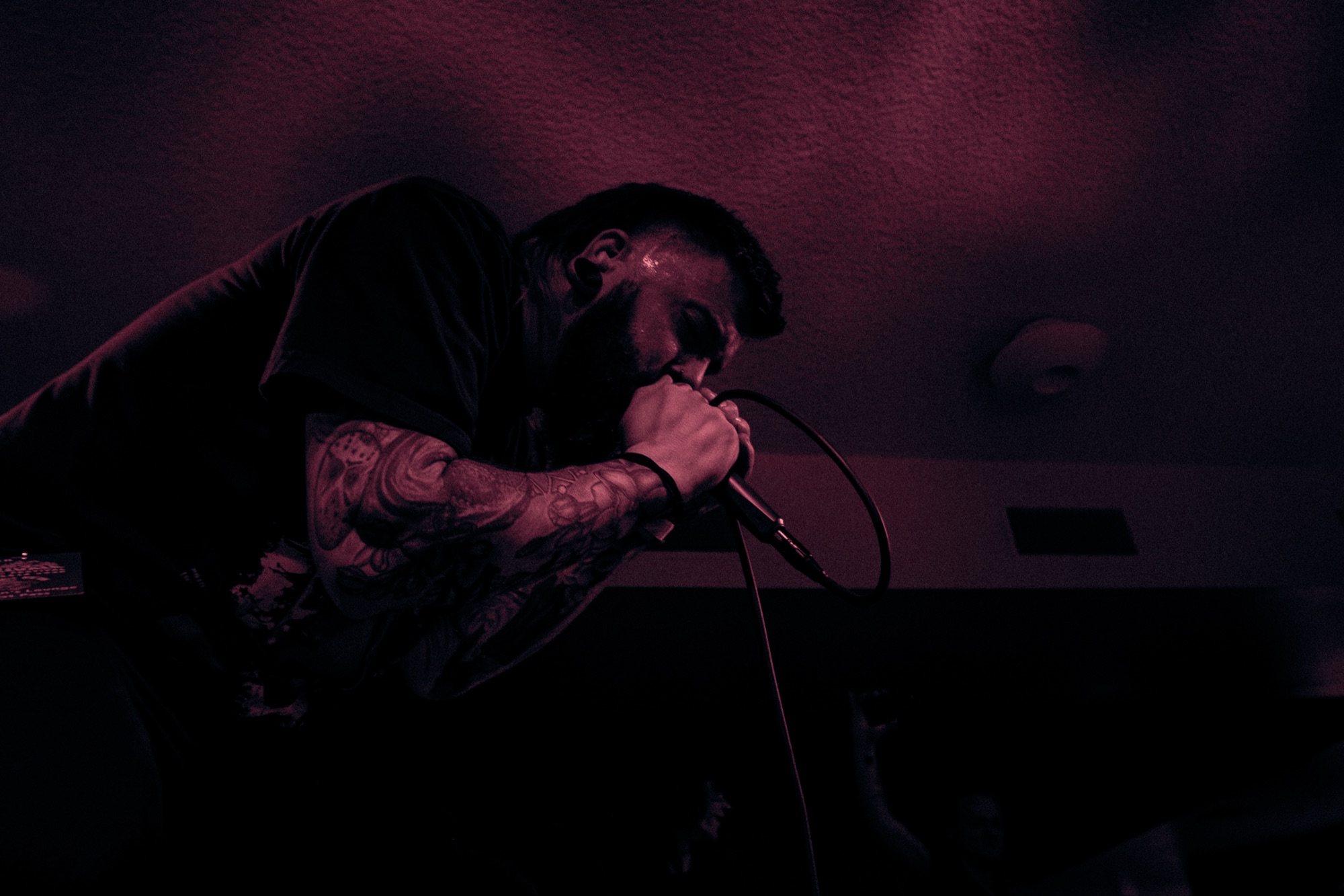 Strangers live at Millvale Music Festival 2026 2026, photo 8 by Don Jilla