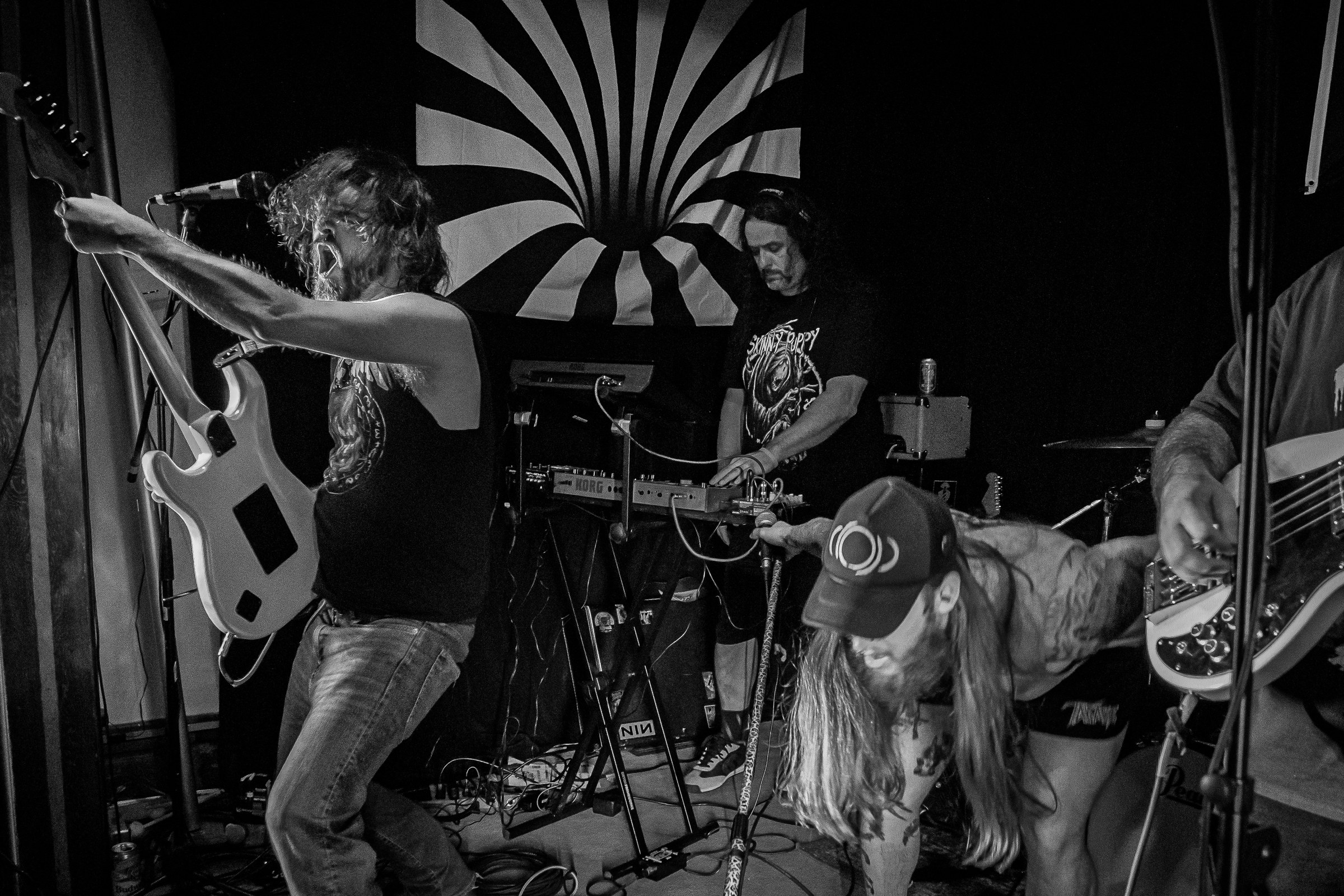 Star Viper live at Green Beacon Gallery Show 2024, photo 15 by Don Jilla
