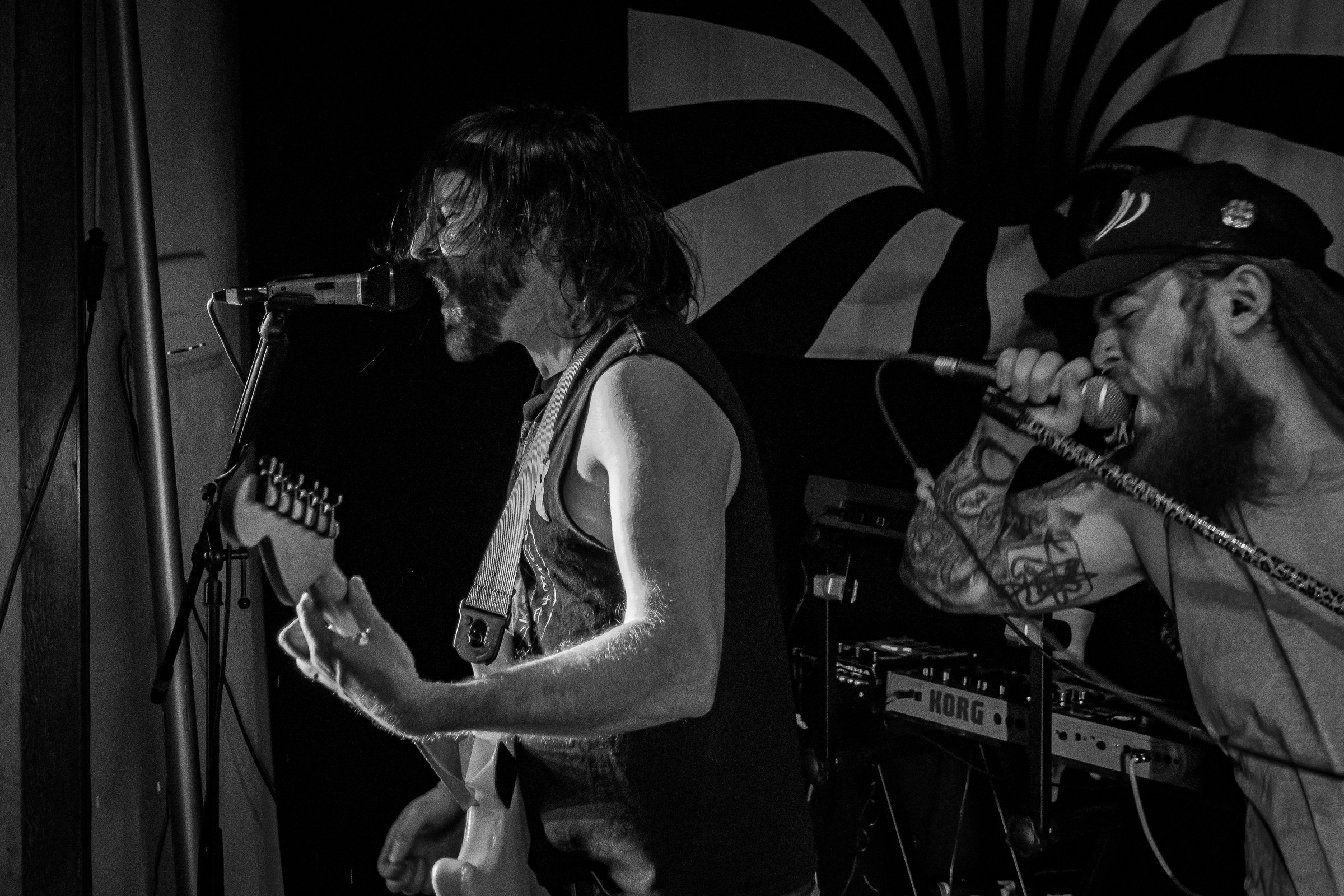 Star Viper live at Green Beacon Gallery Show 2024, photo 22 by Don Jilla