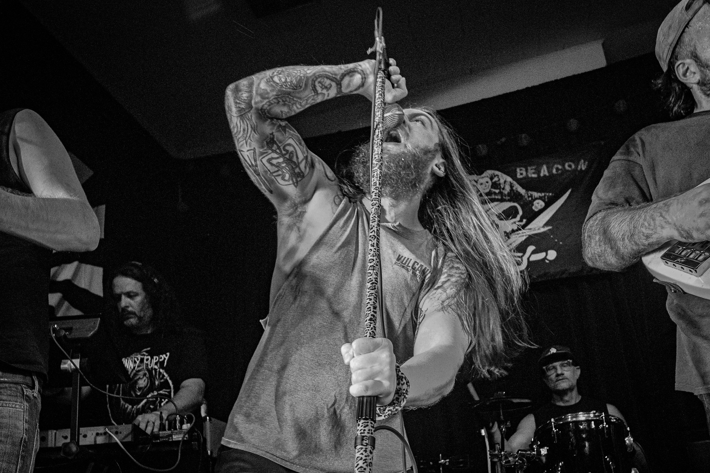 Star Viper live at Green Beacon Gallery Show 2024, photo 27 by Don Jilla