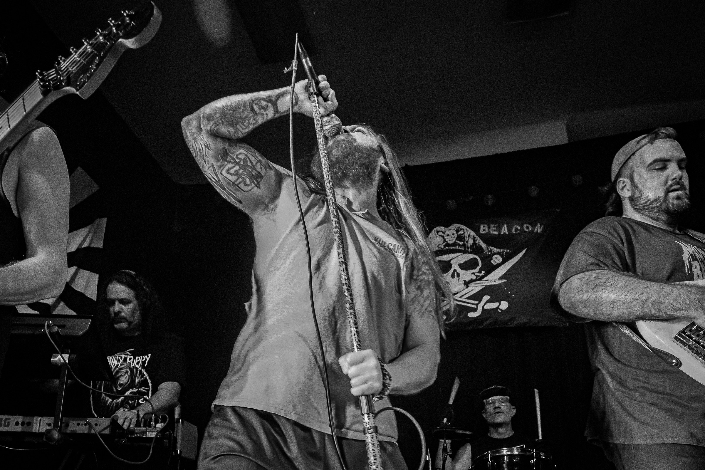 Star Viper live at Green Beacon Gallery Show 2024, photo 28 by Don Jilla