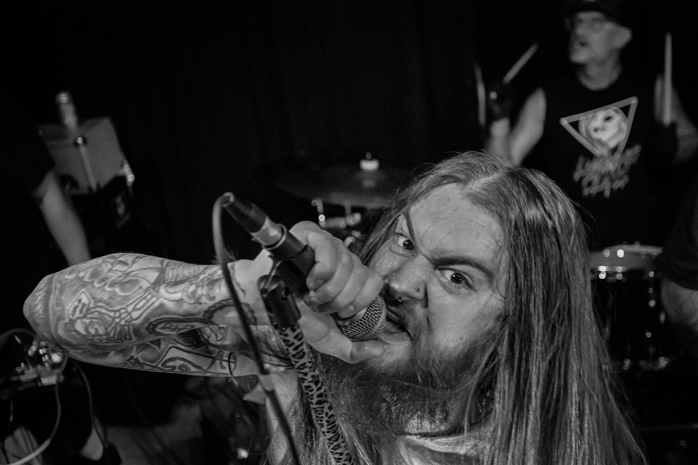 Star Viper live at Green Beacon Gallery Show 2024, photo 32 by Don Jilla