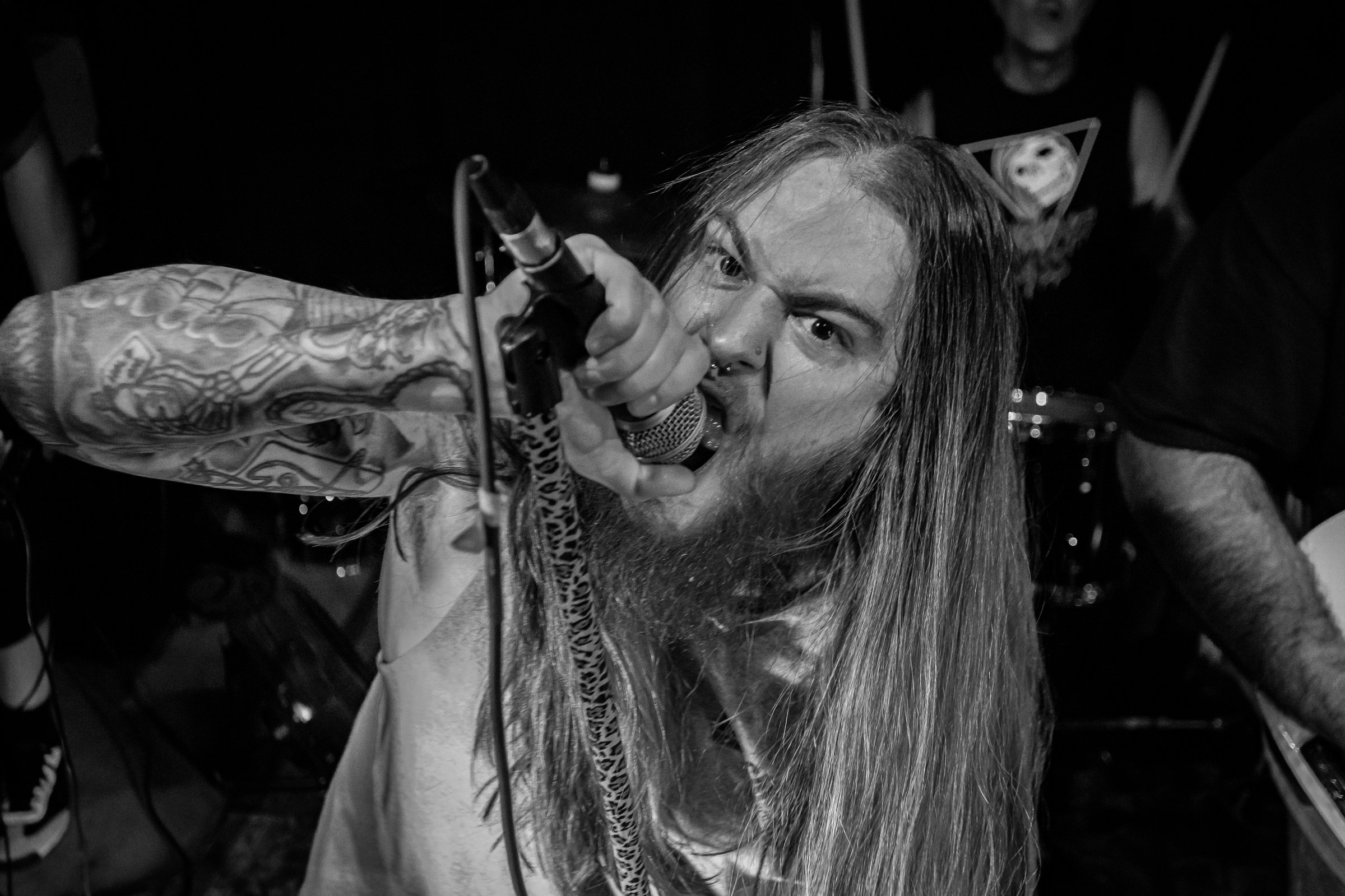 Star Viper live at Green Beacon Gallery Show 2024, photo 33 by Don Jilla