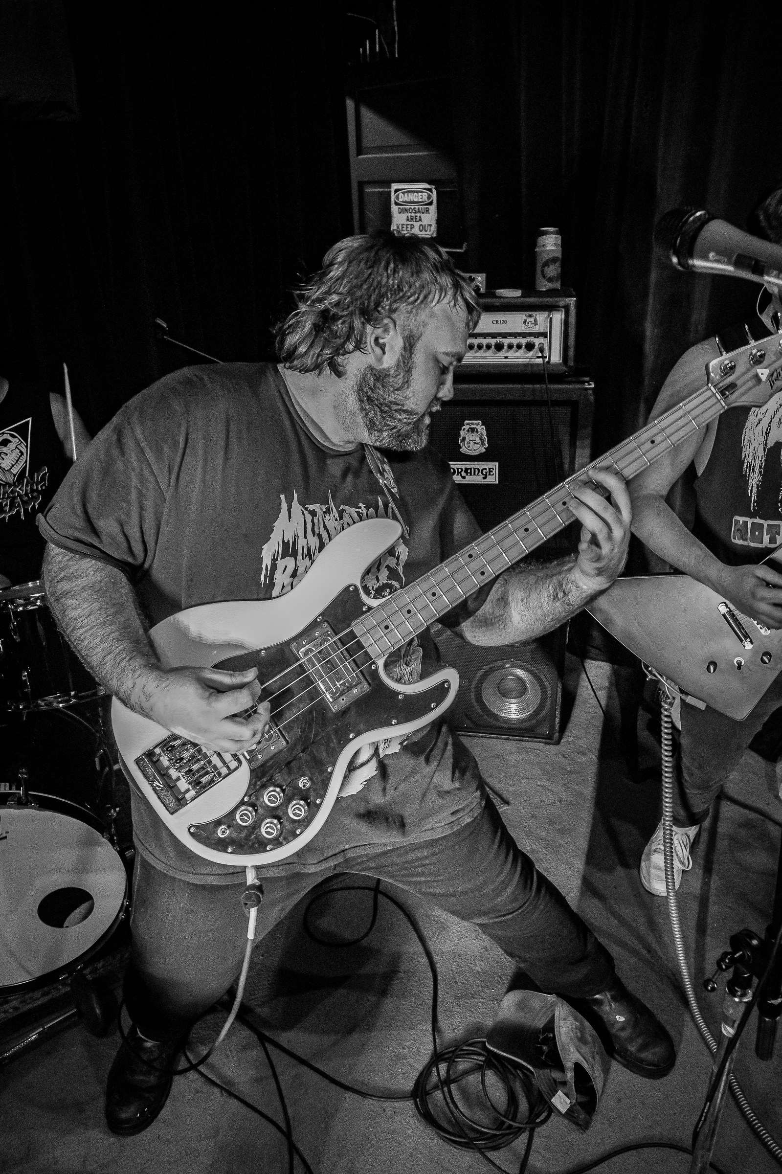 Star Viper live at Green Beacon Gallery Show 2024, photo 42 by Don Jilla