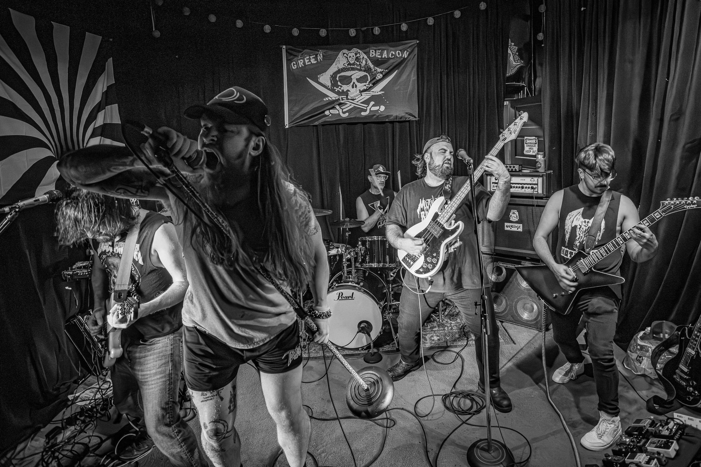 Star Viper live at Green Beacon Gallery Show 2024, photo 49 by Don Jilla