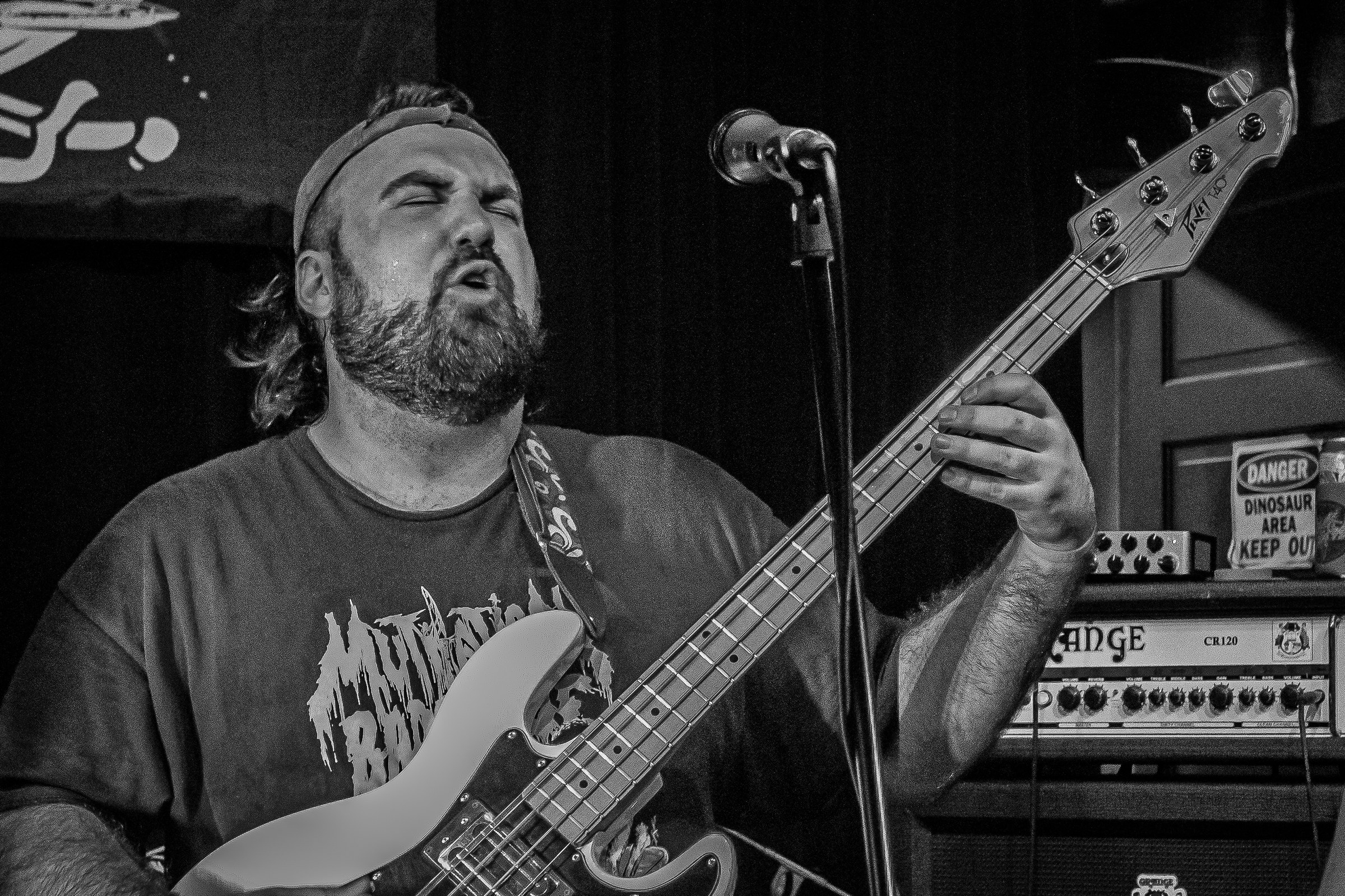 Star Viper live at Green Beacon Gallery Show 2024, photo 50 by Don Jilla