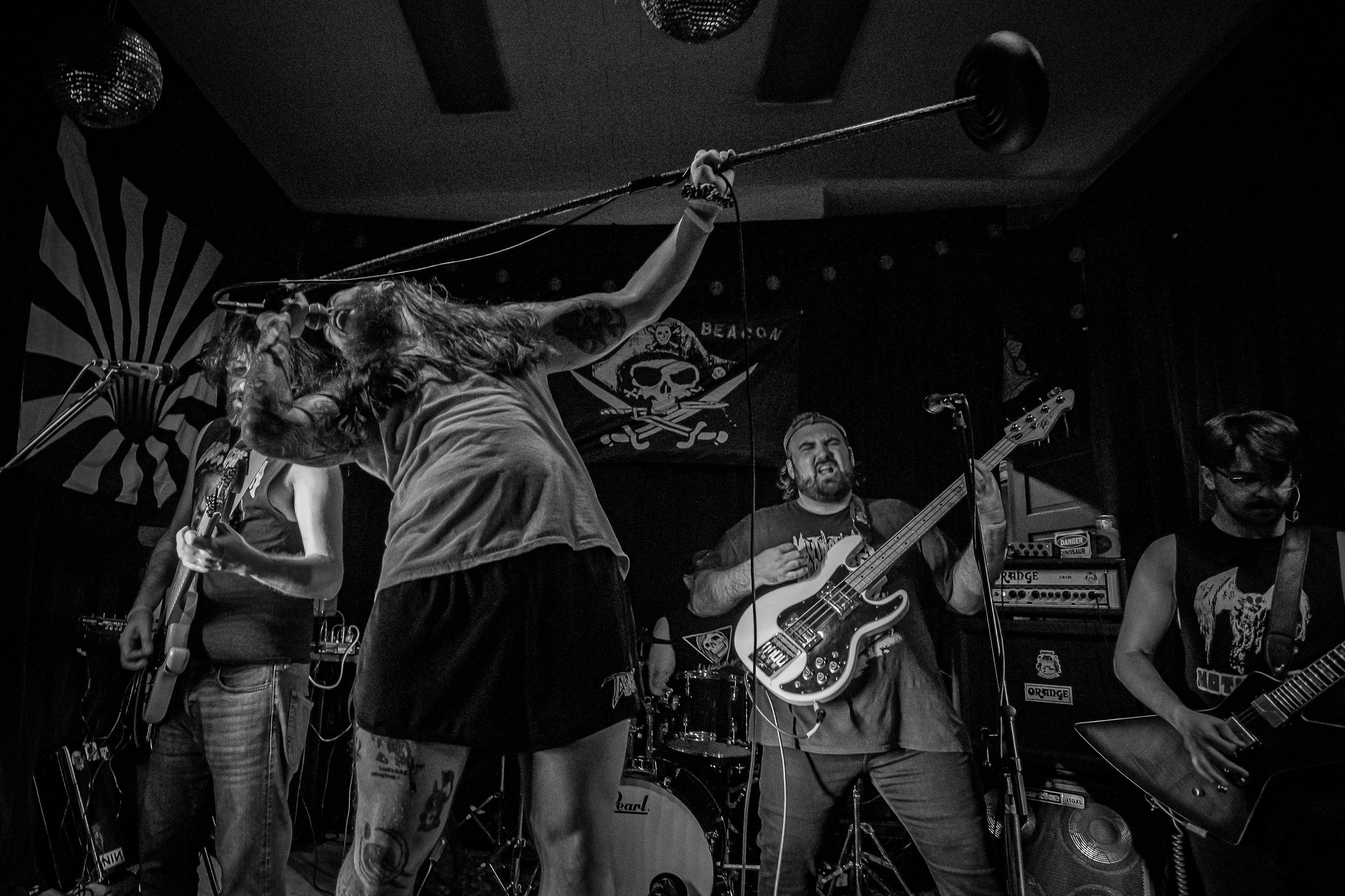 Star Viper live at Green Beacon Gallery Show 2024, photo 52 by Don Jilla