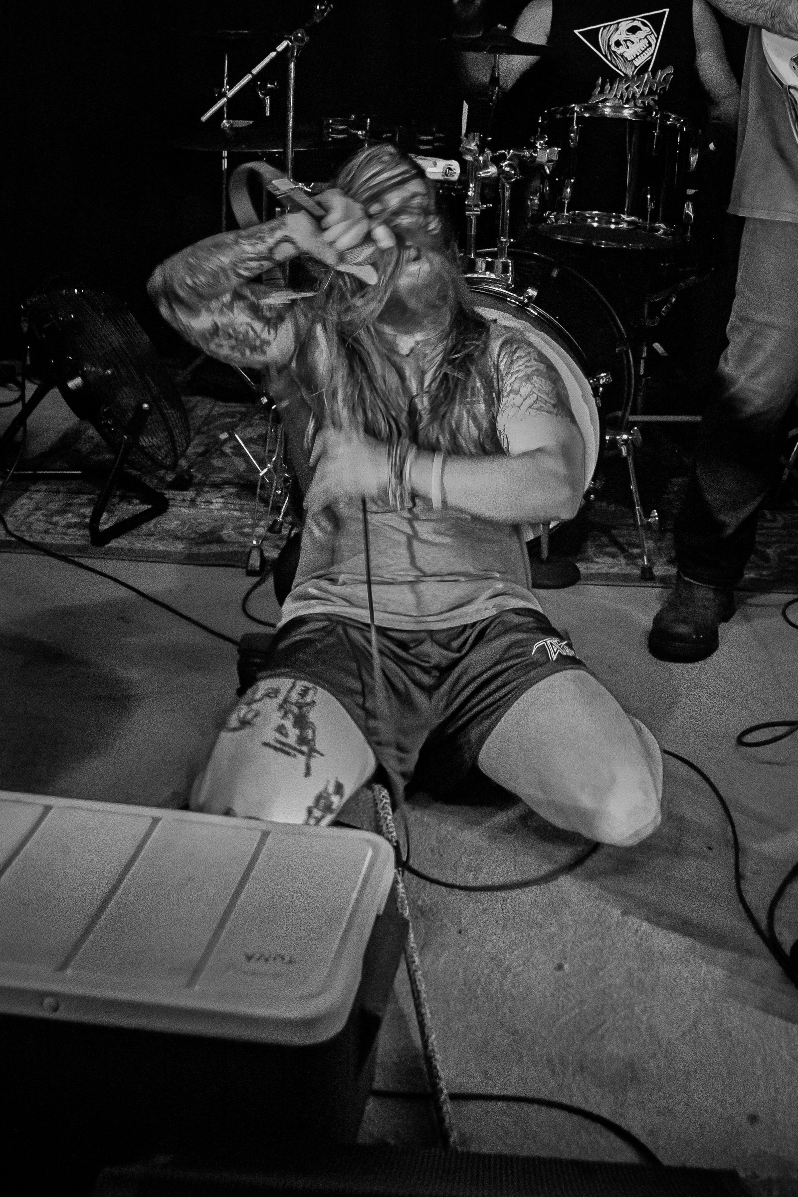 Star Viper live at Green Beacon Gallery Show 2024, photo 55 by Don Jilla