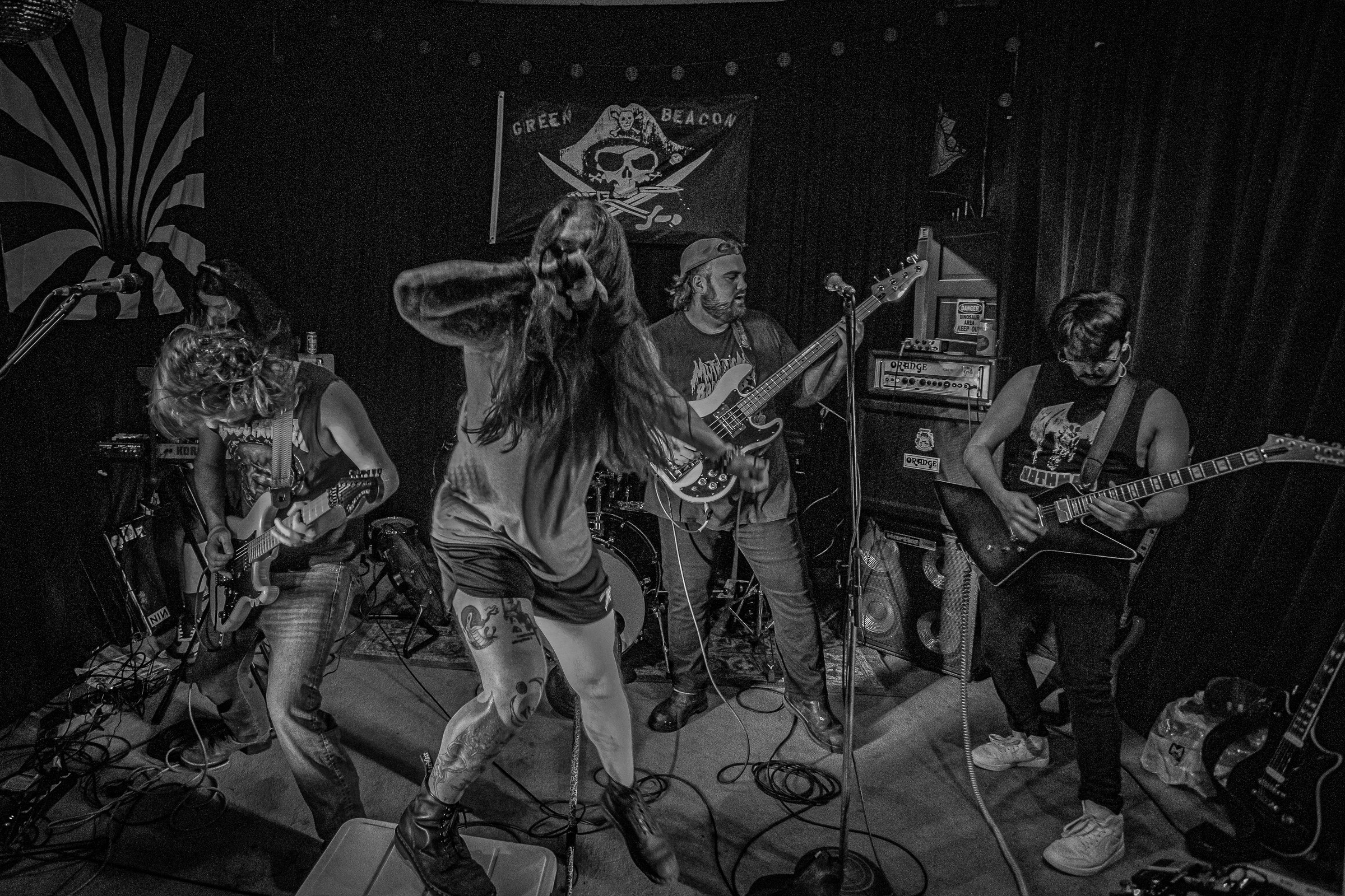Star Viper live at Green Beacon Gallery Show 2024, photo 56 by Don Jilla