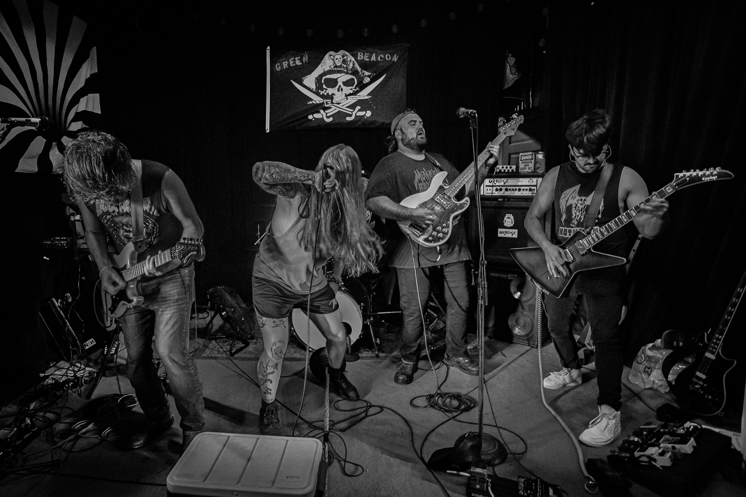 Star Viper live at Green Beacon Gallery Show 2024, photo 60 by Don Jilla