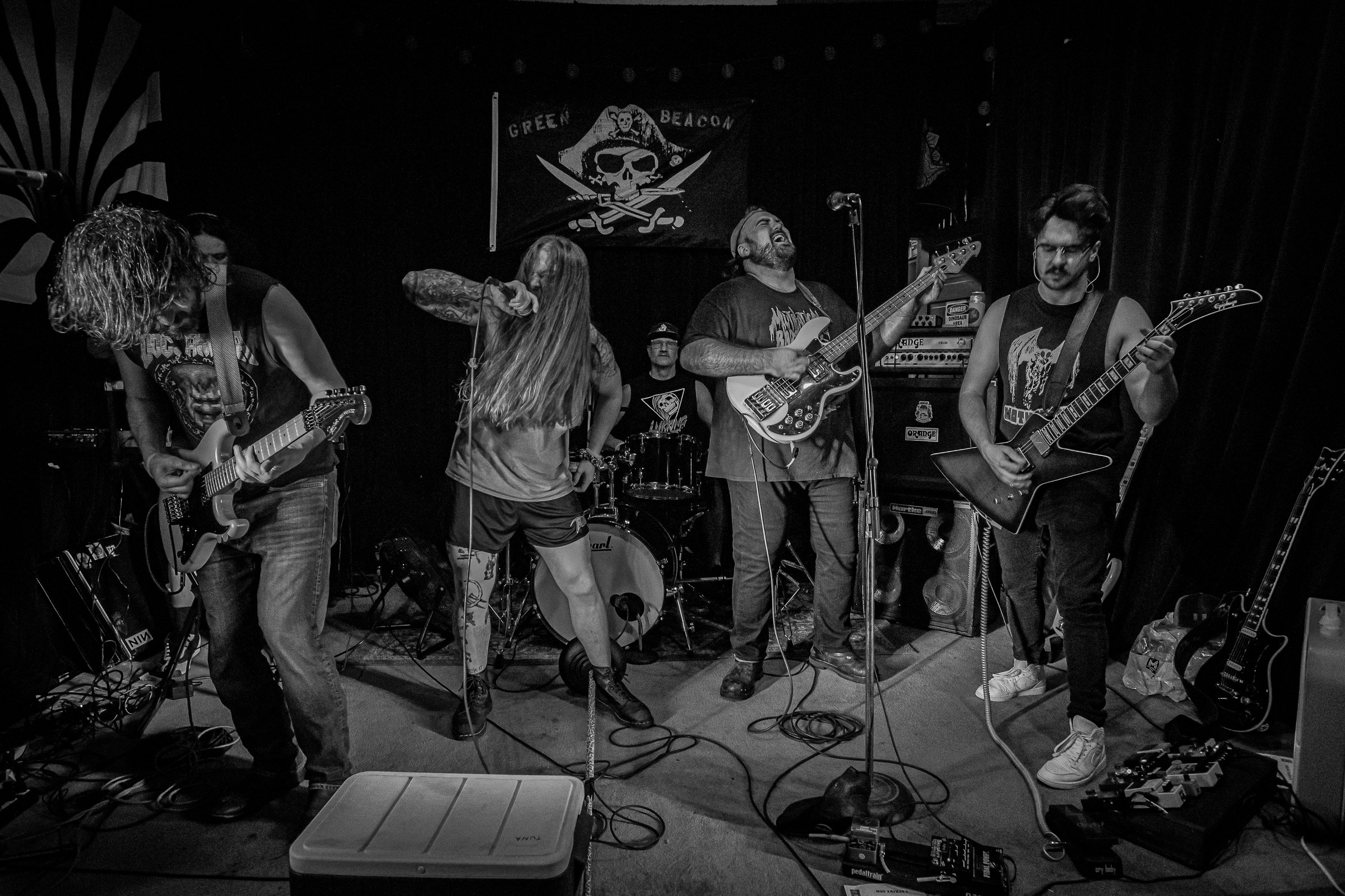 Star Viper live at Green Beacon Gallery Show 2024, photo 61 by Don Jilla