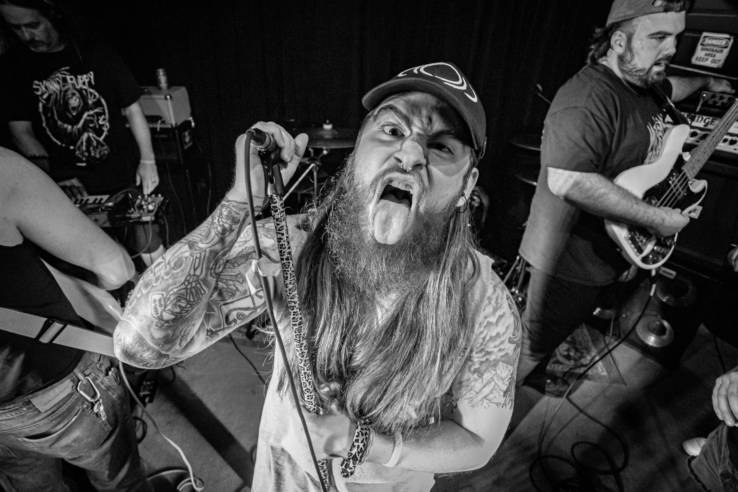 Star Viper live at Green Beacon Gallery Show 2024, photo 7 by Don Jilla