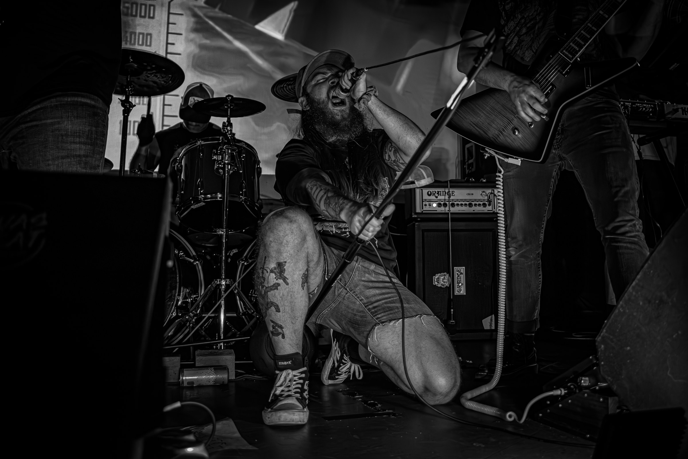 Star Viper live at Star Viper 2023, photo 6 by Don Jilla
